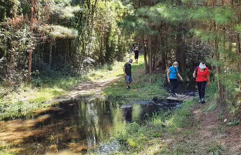 Participe da Caminhada na Natureza - Circuito dos Sítios